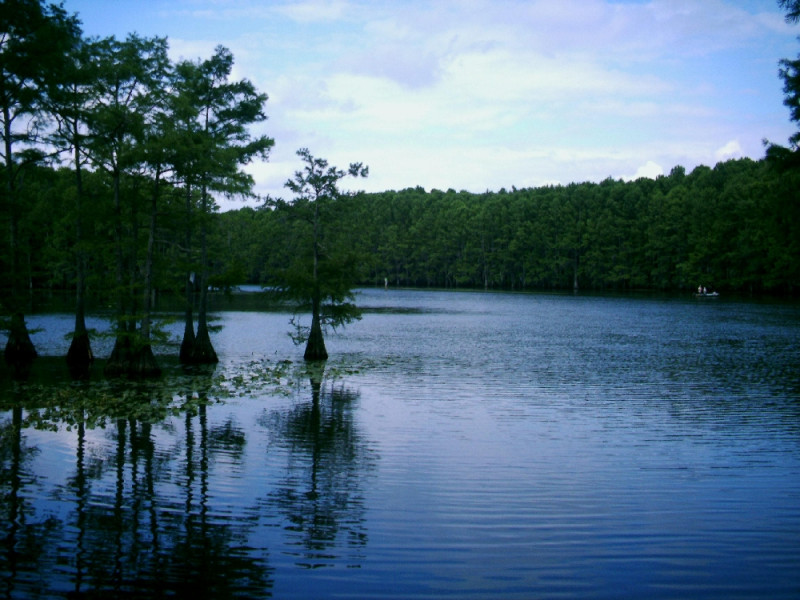 Caddo Lake