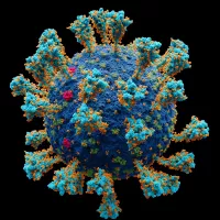 Coronavirus