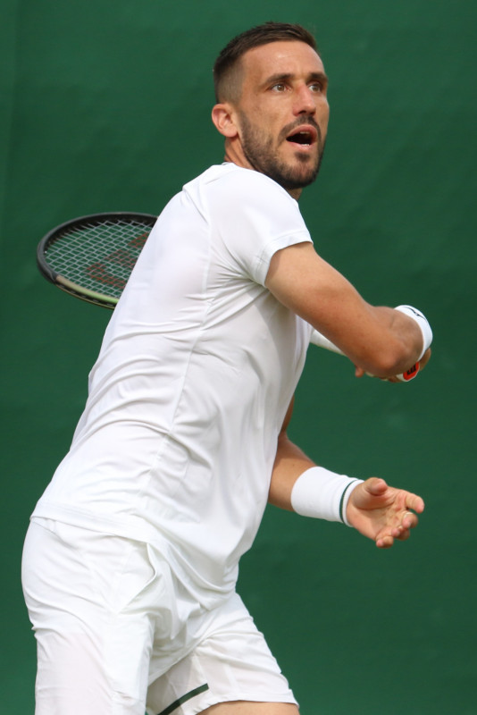 Damir Džumhur