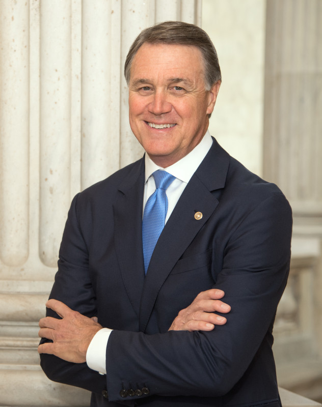 David Perdue