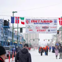 Iditarod Trail Sled Dog Race