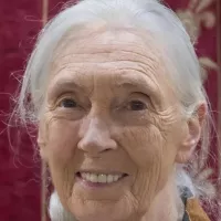 Jane Goodall