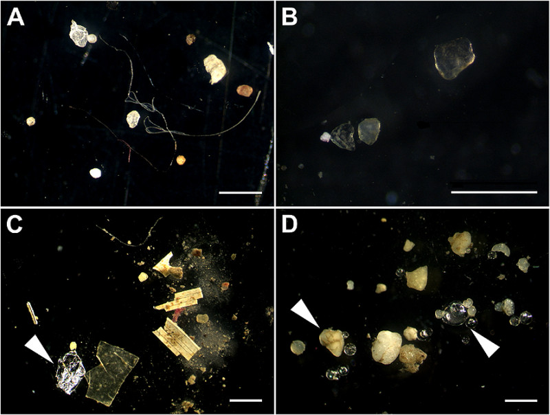 Microplastics